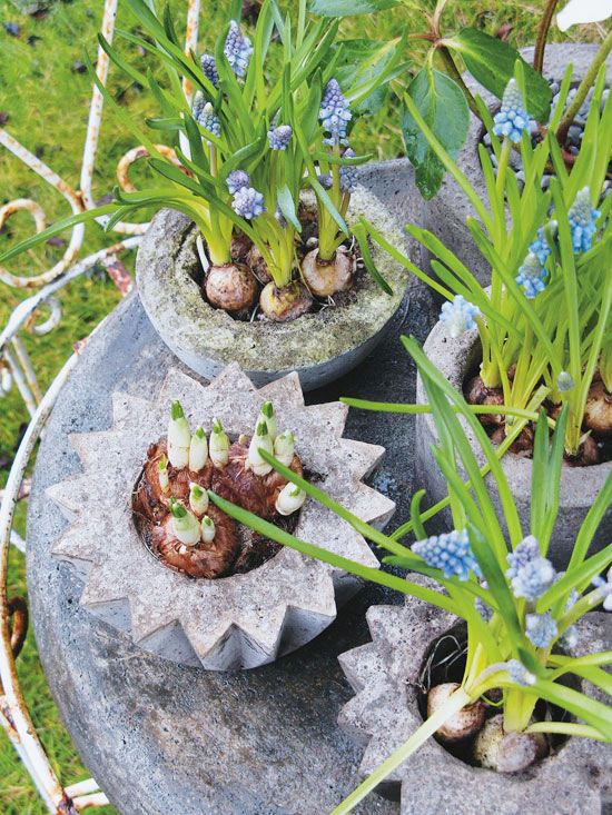 small concrete pots for orchids