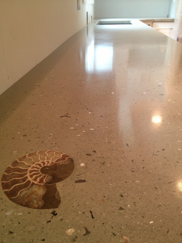 triblobite fossil embedded in polished concrete countertop