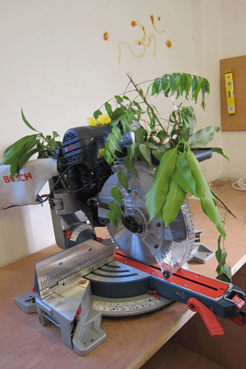 flowers on Bosch miter saw in India during Ugadi new year festival