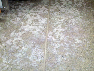 Secondary Efflorescence in Concrete Countertops and Floors – Efflorescence part 2